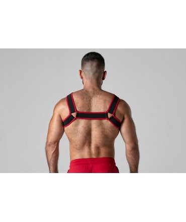 Arnês Corporal Look at |...