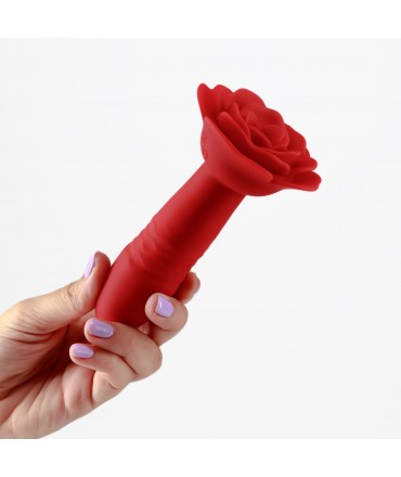 Romeo Plug Anal com...